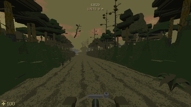Riding a bike down a forest track between pines
